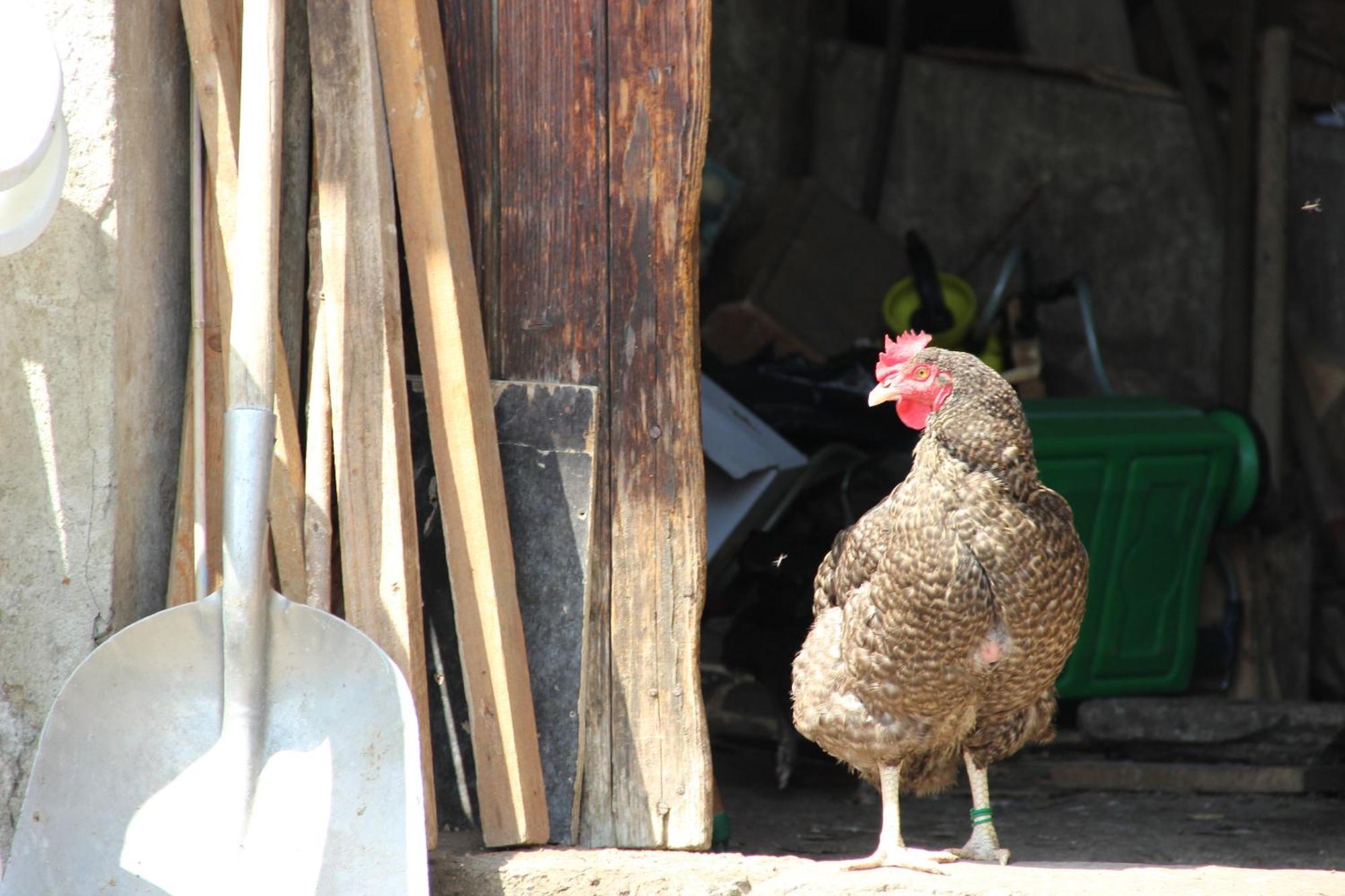 Hotel Le V De วูจานีย์ ภายนอก รูปภาพ